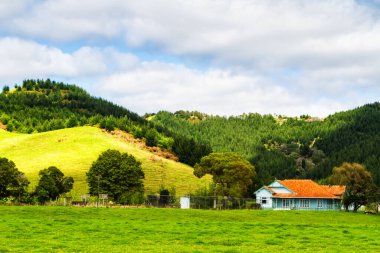 Kuzey Adası, Coromandel Yarımadası, Yeni Zelanda 'daki tipik ahşap ev.