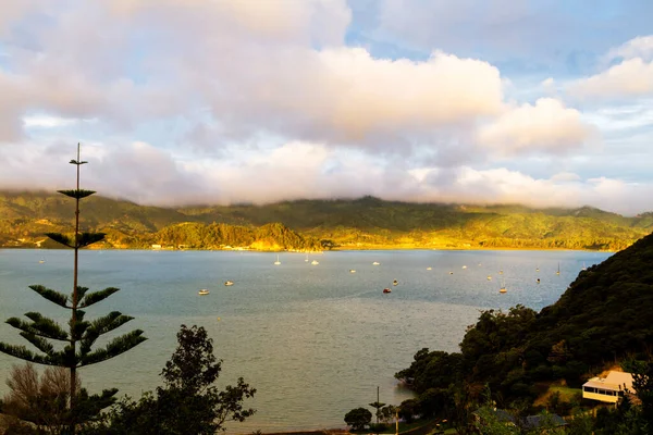 Вид Залив Острове Коромандел Солнечный Вечер Северный Остров Новая Зеландия — стоковое фото
