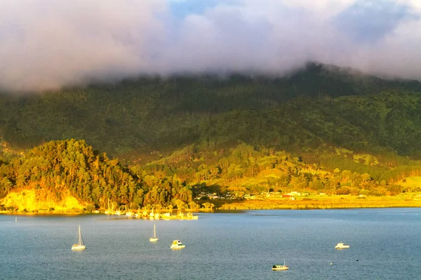 Вид Залив Острове Коромандел Солнечный Вечер Северный Остров Новая Зеландия — стоковое фото