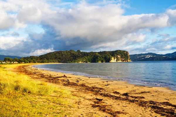 Una Vista Panorámica Costa Oriental Isla Norte Nueva Zelanda —  Fotos de Stock
