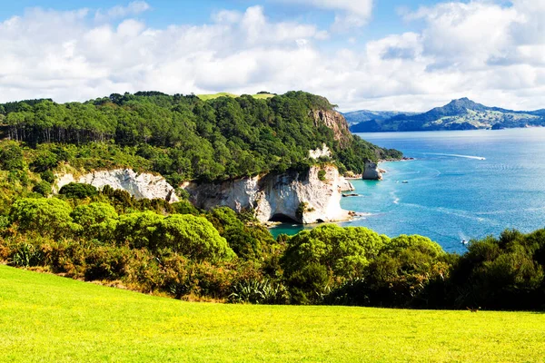 Rolling Zielone Pola Farmy Pod Spokojnym Niebieskim Niebem Nowej Zelandii — Zdjęcie stockowe