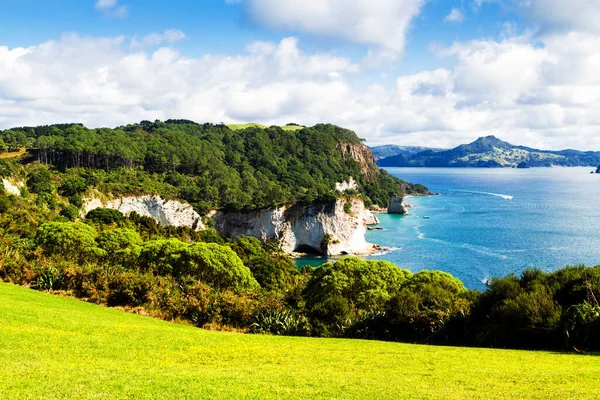 Rolling Green Farm Fields Calm Blue Sky New Zealand North — Stock fotografie