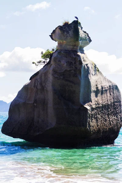 Cathedral Cove Coromandel Peninsula North Island New Zealand — стокове фото