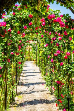 Alhambra sarayındaki gül kemeri, Granada, İspanya