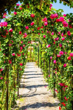 Alhambra sarayındaki gül kemeri, Granada, İspanya