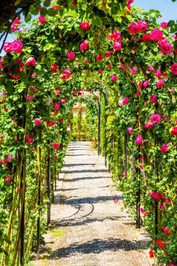 Alhambra sarayındaki gül kemeri, Granada, İspanya