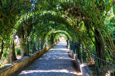 Uzağa uzanan ağaçların dokuduğu yeşil tünel, Alhambra Bahçesi, Granada, Endülüs, İspanya