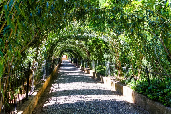 The green tunnel formed by woven branches of trees stretching away, Garden of Alhambra, Granada, Andalusia, Spain