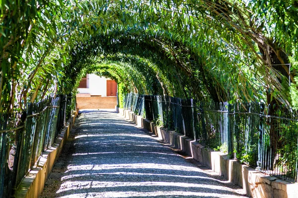 Green Tunnel Formed Woven Branches Trees Stretching Away Garden Alhambra — Stock Photo, Image