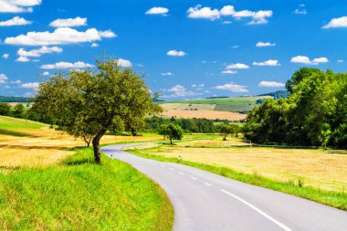 Polonya ve Slovakya sınırındaki Beskid Niski dağlarından geçen bir yolun panoramik görüntüsü