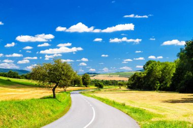 Polonya ve Slovakya sınırındaki Beskid Niski dağlarından geçen bir yolun panoramik görüntüsü