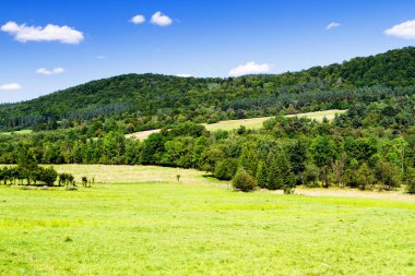 Polonya ve Slovakya sınırındaki Beskid Niski dağlarından geçen bir yolun panoramik görüntüsü