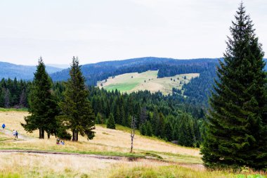 Dağlar manzaralı. Gorce dağlarındaki çayırların ve ormanların manzarası. Karpat Dağları manzarası, Polonya. Gorczanski Ulusal Parkı, Polonya