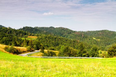 Dağlar manzaralı. Gorce dağlarındaki çayırların ve ormanların manzarası. Karpat Dağları manzarası, Polonya. Gorczanski Ulusal Parkı, Polonya