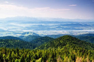 Dağlar manzaralı. Gorce dağlarındaki çayırların ve ormanların manzarası. Karpat Dağları manzarası, Polonya. Gorczanski Ulusal Parkı, Polonya