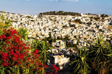 Kudüs ve Kaya Kubbesi 'nin manzarası Zeytin Dağı, İsrail, Ortadoğu' dan