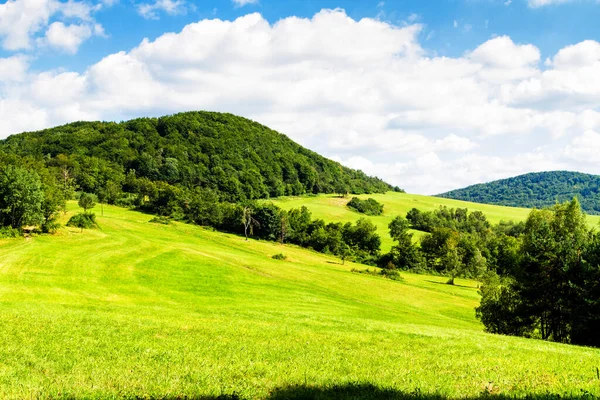 Mountains scenery. Panorama of grassland and forest in Beskid Niski mountains. Carpathian mountains landscape, Poland.