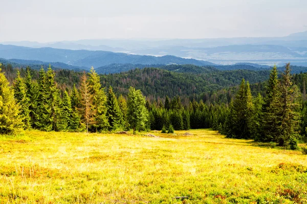 Mountains scenery. Panorama of grassland and forest in Gorce mountains. Carpathian mountains landscape, Poland. Gorczanski National Park, Poland