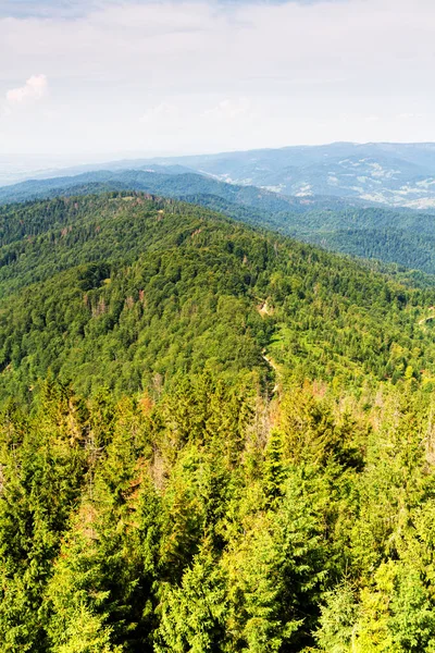 山の景色 ゴース山の草原や森のパノラマ カルパチア山脈の風景 ポーランド ゴルチャンスキー国立公園 ポーランド — ストック写真