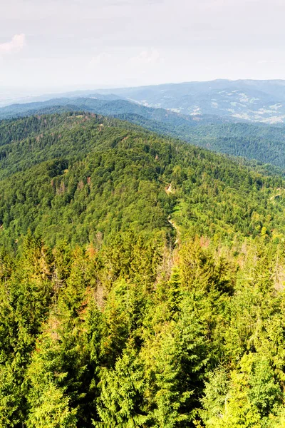 Berglandschaft Aussicht Auf Wiesen Und Wälder Gorce Gebirge Karpatenlandschaft Polen — Stockfoto