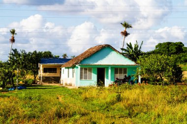 Uzak bir Küba kırsalında ve doğal ortamda eski bir ahşap kulübe. Birçok Kübalı kırsal kesimdeki ahşap kulübelerde yaşıyor..