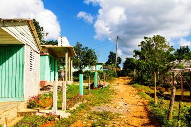 Uzak bir Küba kırsalında ve doğal ortamda eski bir ahşap kulübe. Birçok Kübalı kırsal kesimdeki ahşap kulübelerde yaşıyor..