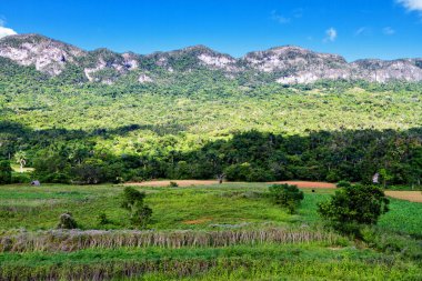 Küba 'nın batısındaki Valle de Vinales manzarası.