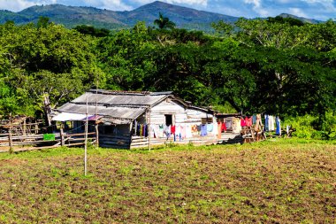 Uzak bir Küba kırsalında ve doğal ortamda eski bir ahşap kulübe. Birçok Kübalı kırsal kesimdeki ahşap kulübelerde yaşıyor..