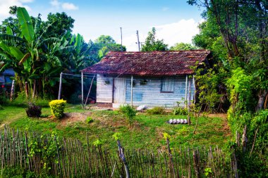 Uzak bir Küba kırsalında ve doğal ortamda eski bir ahşap kulübe. Birçok Kübalı kırsal kesimdeki ahşap kulübelerde yaşıyor..