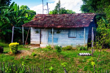 Uzak bir Küba kırsalında ve doğal ortamda eski bir ahşap kulübe. Birçok Kübalı kırsal kesimdeki ahşap kulübelerde yaşıyor..