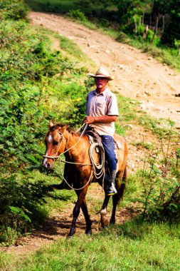 TRINIDAD, CUBA, 22 Kasım 2017: Trinidad, Küba yakınlarındaki atında yaşlı bir adam. Atlar hala günlük hayatta ulaşım için kullanılırken, turistler için de turistik eğlence ve ata binmek için kullanılıyor..