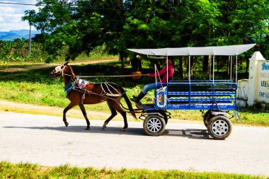 TRINIDAD, CUBA - 25 Kasım 2017: Trinidad, Küba kırsalında tarlalardan ve şeker kamışı tarlalarından at arabası geçiyor. At arabaları hala malları ya da insanları taşımak için kullanılıyor..