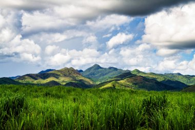 Küba 'daki Valle de los Ingenios (Valley şeker değirmenleri), ünlü bir turizm merkezi ve büyük bir şeker kamışı yetiştirme alanıdır. Trinidad
