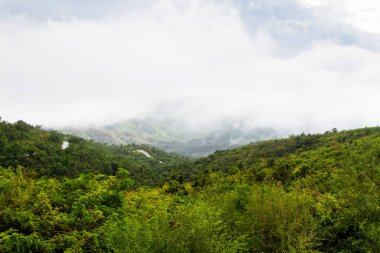 Küba 'daki Valle de los Ingenios (Valley şeker değirmenleri), ünlü bir turizm merkezi ve büyük bir şeker kamışı yetiştirme alanıdır. Trinidad