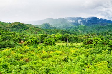Küba 'daki Valle de los Ingenios (Valley şeker değirmenleri), ünlü bir turizm merkezi ve büyük bir şeker kamışı yetiştirme alanıdır. Trinidad
