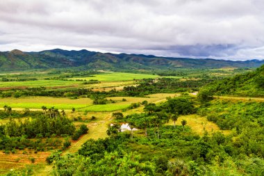 Küba 'daki Valle de los Ingenios (Valley şeker değirmenleri), ünlü bir turizm merkezi ve büyük bir şeker kamışı yetiştirme alanıdır. Trinidad