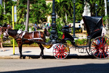 HAVANA, CUBA - NOV 29, 2017: Havana Vieja 'da turist bekleyen at arabaları).