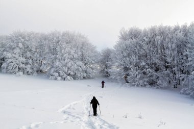 Dağlar manzaralı. Bieszczady Ulusal Parkı 'nda kışın otlak ve orman manzarası. Karpat Dağları manzarası, Polonya. Szeroki Wierch, Tarnica, Polonina Carynska ve Wetlinska 'ya giden yol.