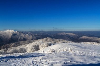 Dağlar manzaralı. Bieszczady Ulusal Parkı 'nda kışın otlak ve orman manzarası. Karpat Dağları manzarası, Polonya. Szeroki Wierch, Tarnica, Polonina Carynska ve Wetlinska 'ya giden yol.