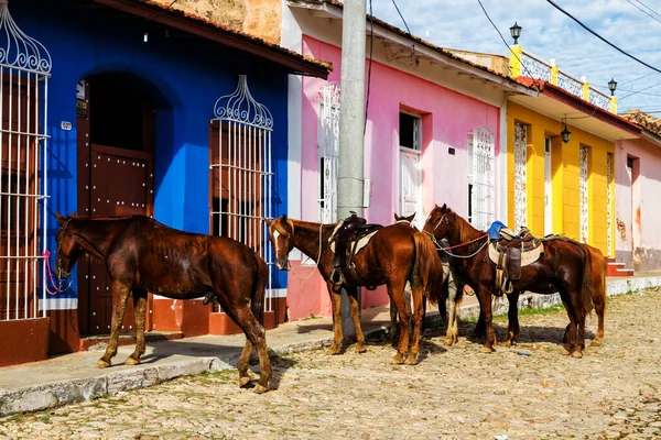 Paarden Geparkeerd Buiten Wachtend Hun Ruiters Cowboys Het Gebouw Kleurrijke — Stockfoto