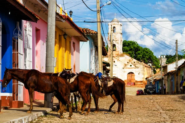 Caballos Estacionados Afuera Esperando Sus Jinetes Vaqueros Edificio Colorida Ciudad — Foto de Stock