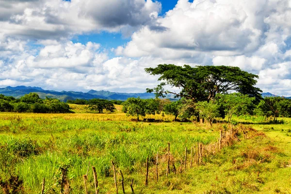 Valle Los Ingenios Cuba Famoso Destino Turístico Una Importante Zona — Foto de Stock