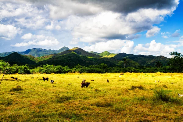 Valle Los Ingenios Valley Sugar Mills Cuba Famous Tourist Destination — Stock Photo, Image