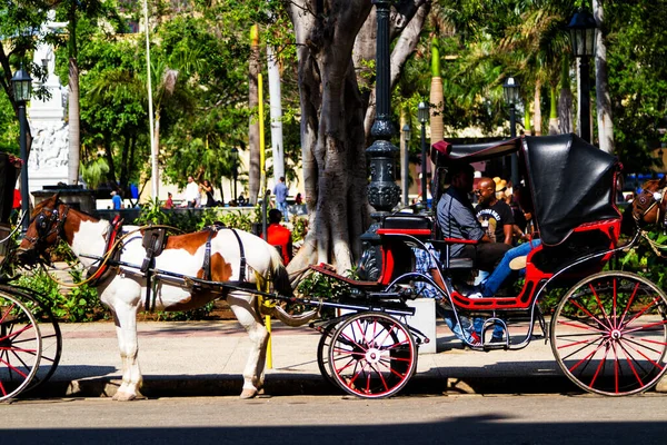 Havana Cuba Nov 2017 Carrinhos Cavalo Espera Turista Havana Vieja — Fotografia de Stock