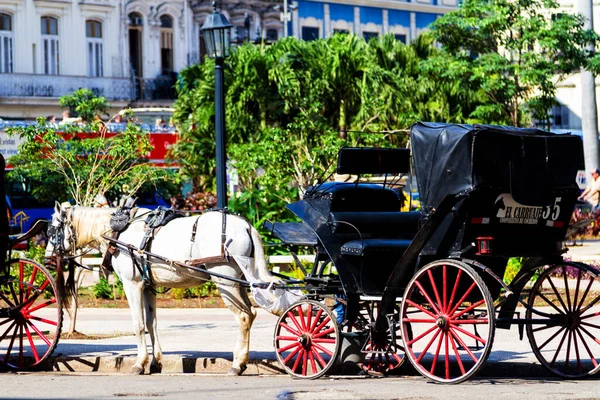 Havana Cuba Nov 2017 Carrinhos Cavalo Espera Turista Havana Vieja — Fotografia de Stock