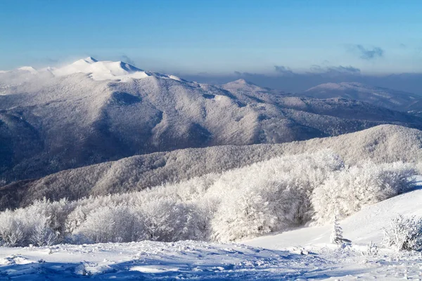 Mountains scenery. Panorama of winter grassland and forest in Bieszczady National Park. Carpathian mountains landscape, Poland. Trail to Szeroki Wierch, Tarnica, Polonina Carynska and Wetlinska.