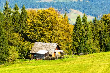 Dağlar manzaralı. Pieniny dağlarındaki çayırların ve ormanların manzarası. Karpat Dağları manzarası, Polonya.