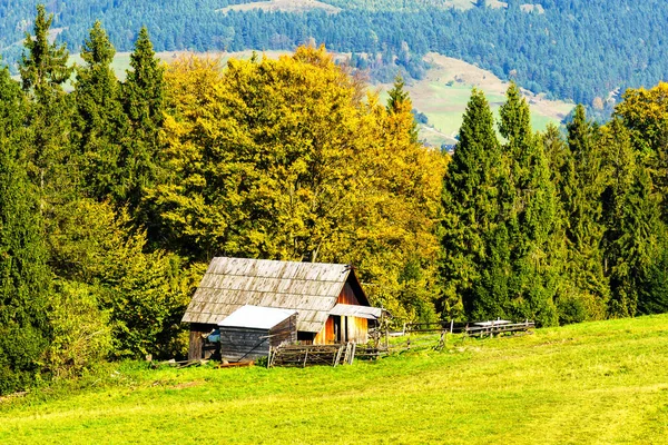 Górskie Krajobrazy Panorama Łąk Lasów Pieninach Krajobraz Karpat Polska — Zdjęcie stockowe