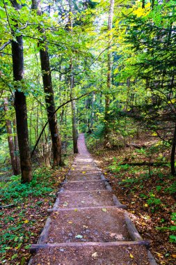 Pieniny Dağları Ulusal Parkı, Polonya