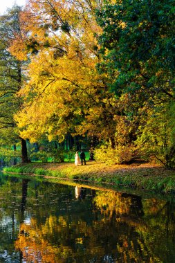 Polonya 'nın Pszczyna parkındaki yapraklar sonbaharda güzel bir manzaraya dönüşür.